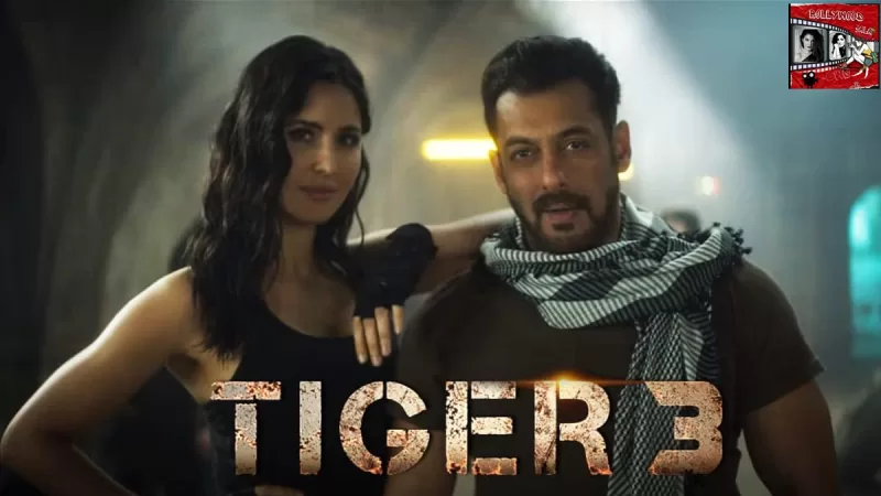 फीकी पड़ रही ‘टाइगर 3’ की कमाई, क्या 300 करोड़ के आंकड़े को पार कर सकेंगी सलमान की फिल्म?